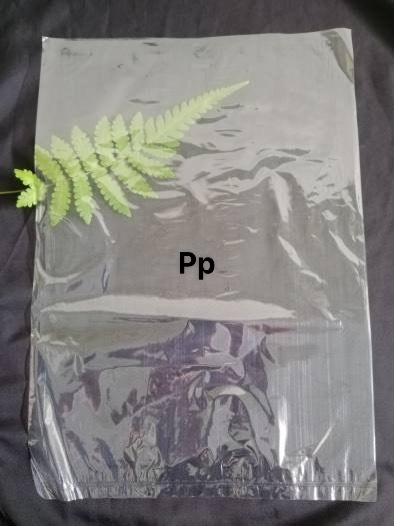 366685916_313698817694634_1309401143915610519_n