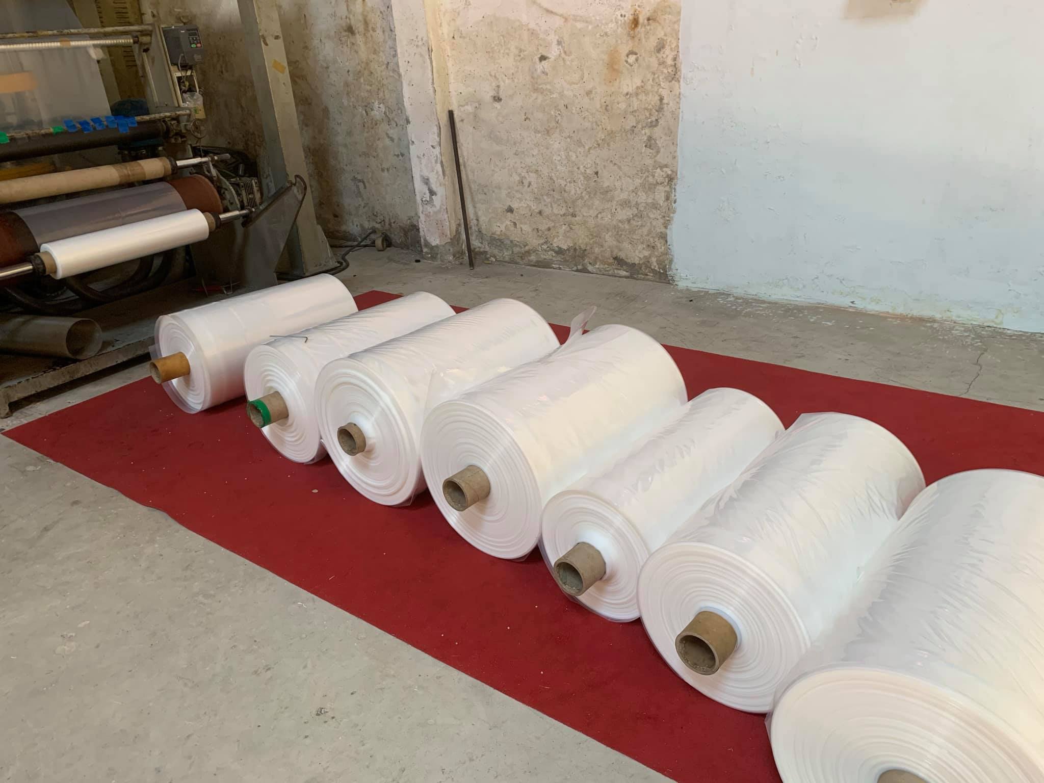 243321802_2707495332877368_759242076187381739_n