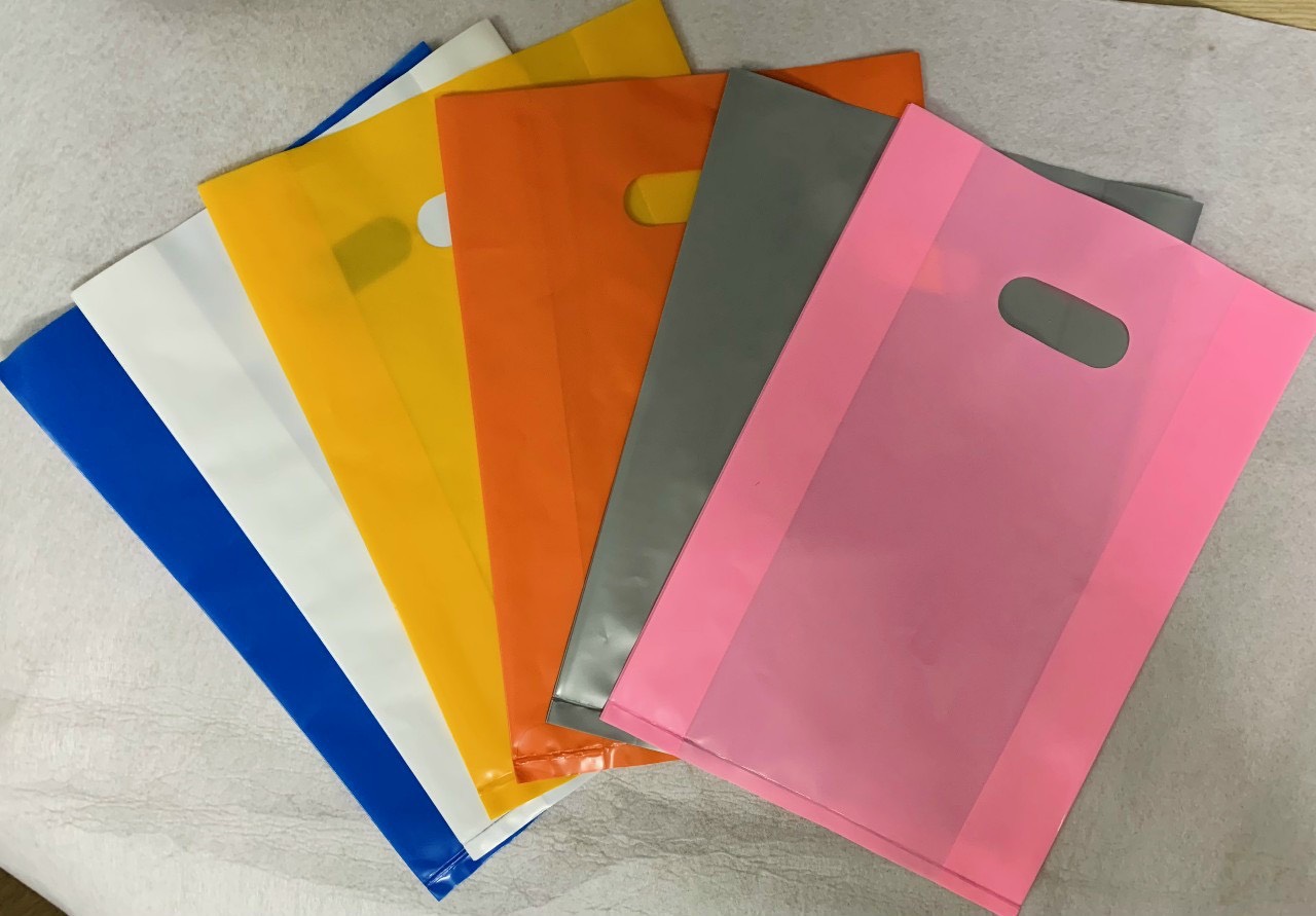 337241488_244406268013808_7792077986269924609_n