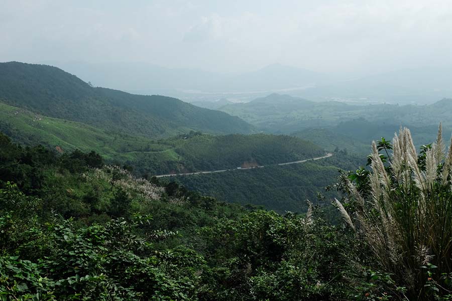 mua băng dính ở đâu