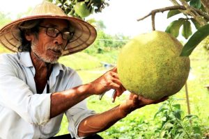 Báo giá bang dính công nghiệp