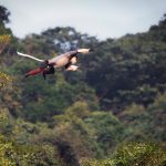 băng dính công nghiệp việt nam