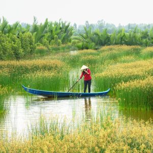 bảng giá băng dính điện