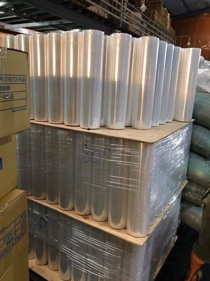 255010681_4690749457631517_724970381858772479_n