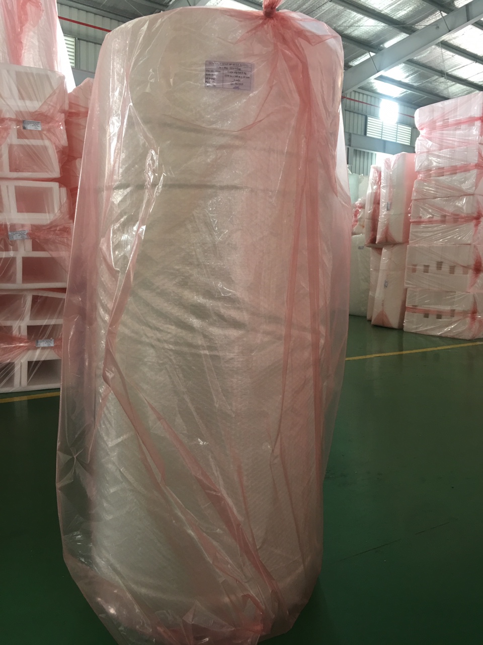 3a62a939e85e0c00554f