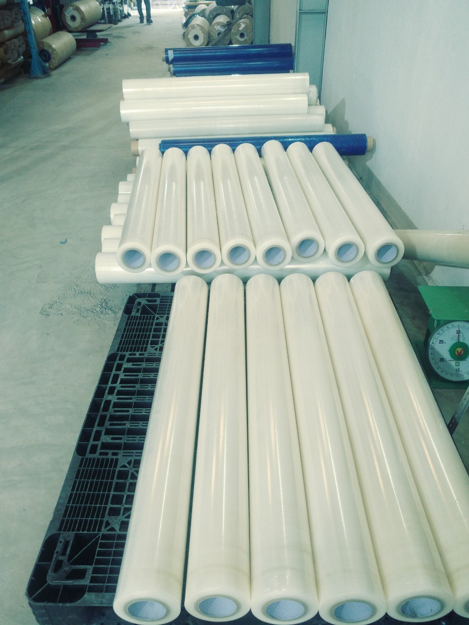 MÀNG BẢO VỆ TRONG