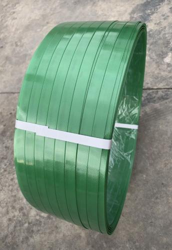 day-dai-pet-1555992154