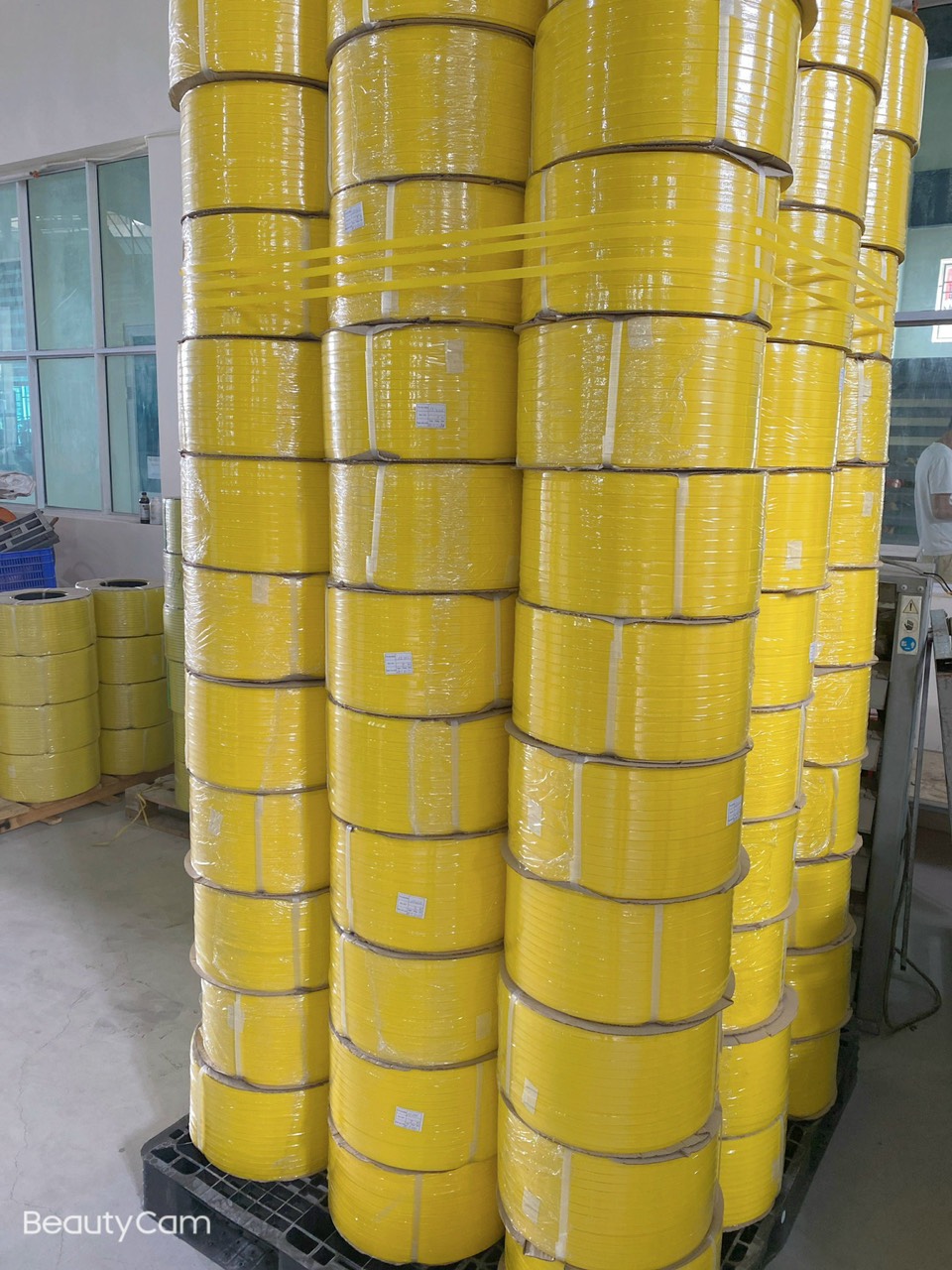 z4283256092009_303eda8b6cb52b7d5fb0aab1b73fa61f