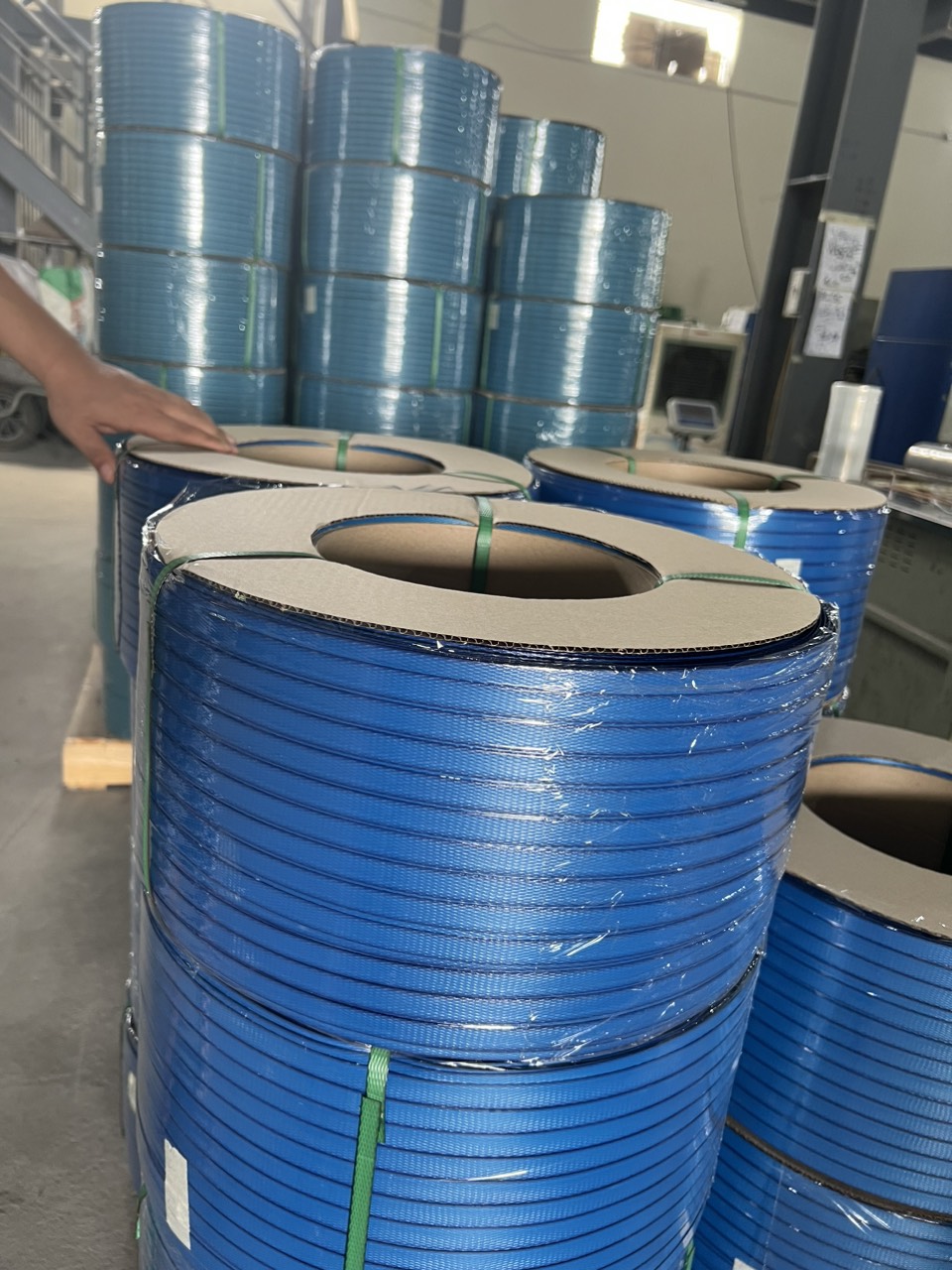 z4581996173803_635ce3bfb9f29a5a656eda682e60c761