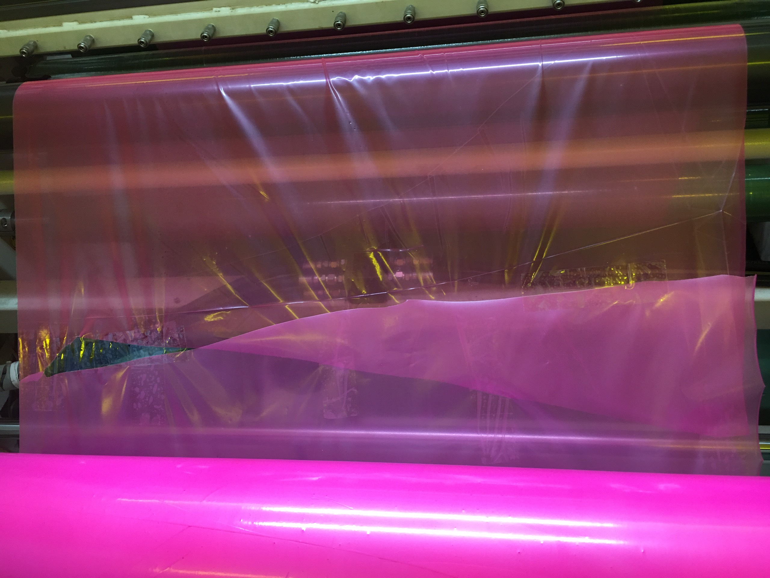 z5200219465734_6ae7dde77e54ce0d6fc16b6ac5d000ae